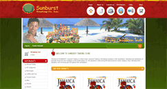 Desktop Screenshot of esunburst.com